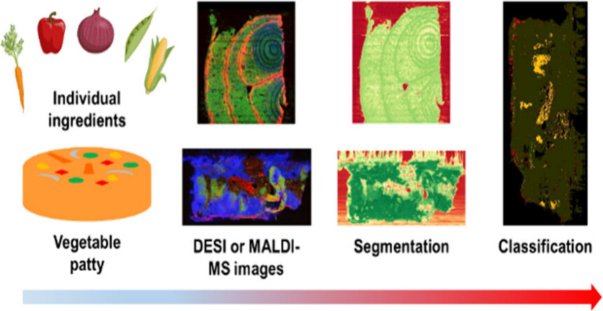 Mass Spectrometry Imaging for Spatial Ingredient Classification in Plant-Based Food